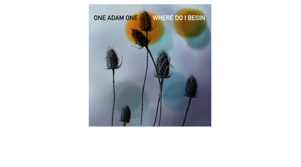 One Adam One